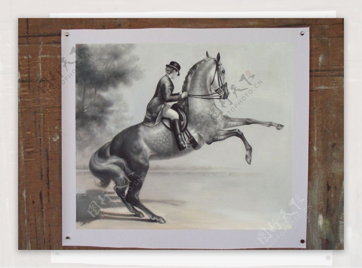 骑在马背上的骑手图片