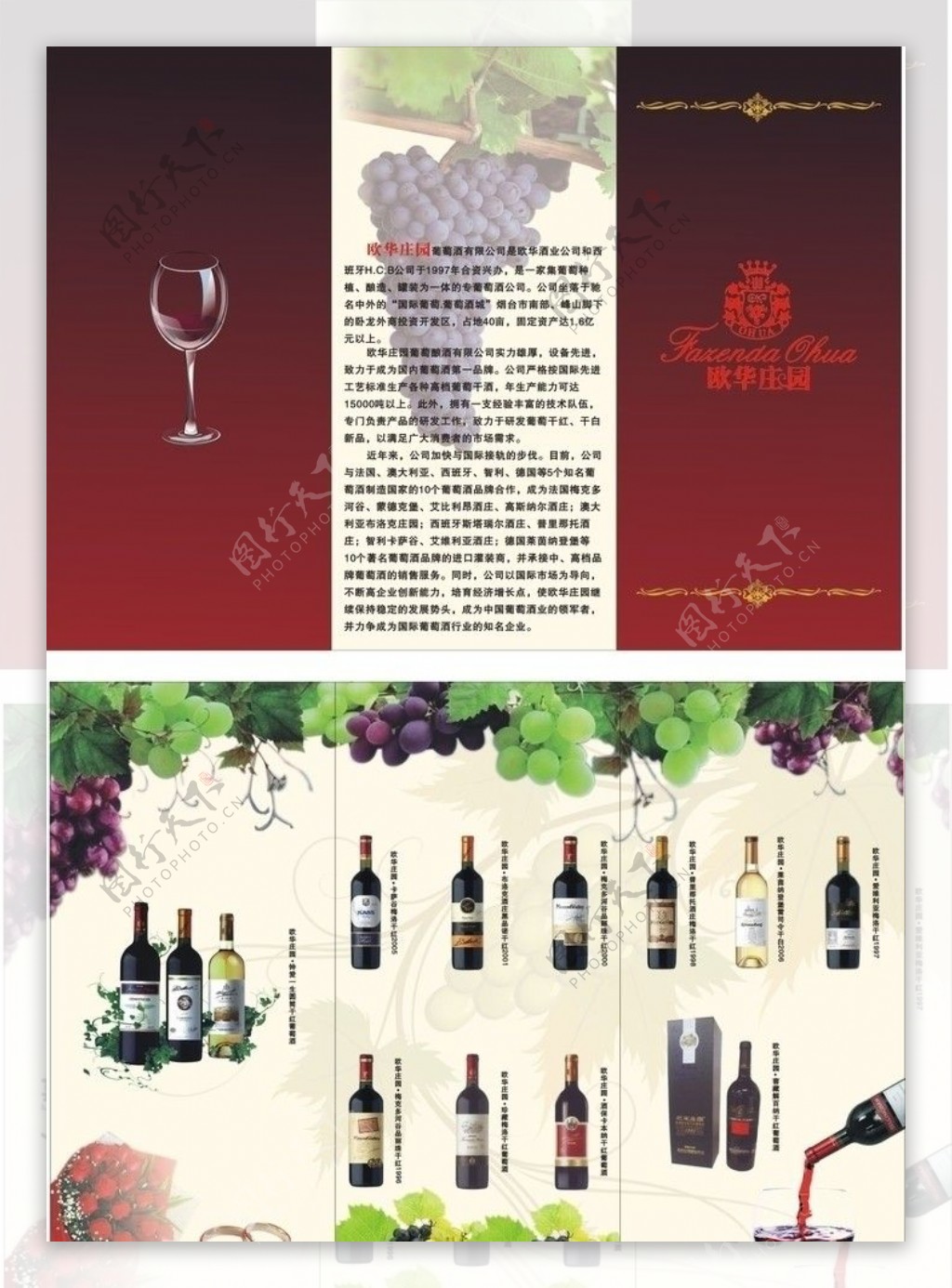 红酒三折页图片