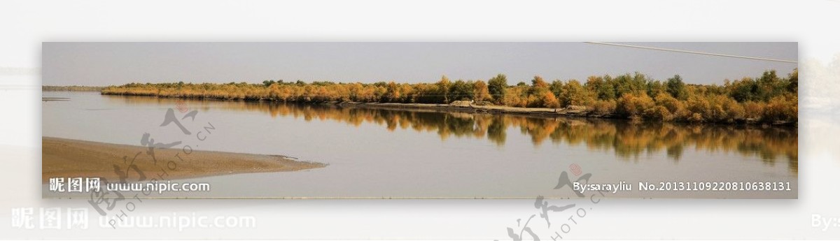 塔里木河畔图片