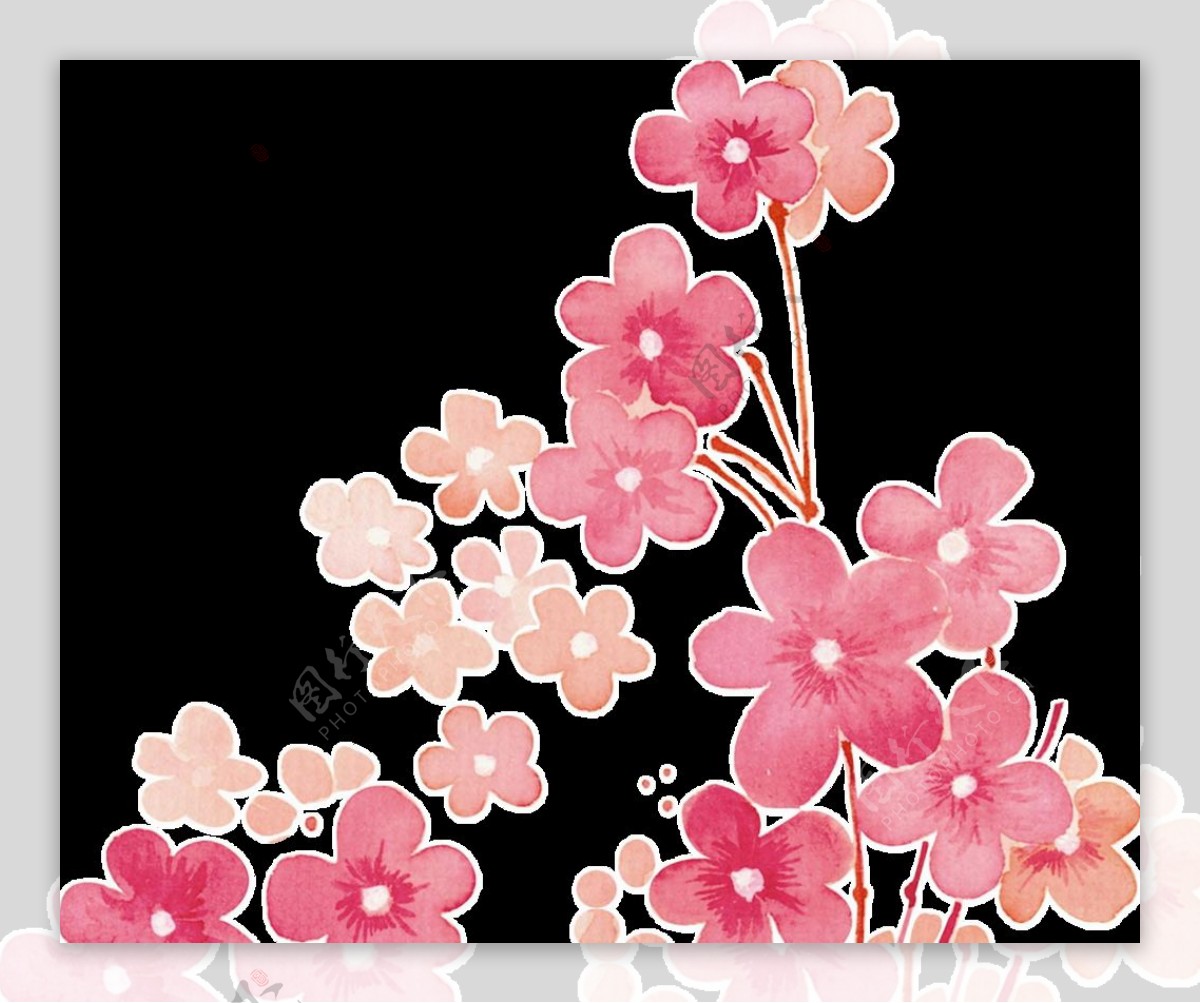 手绘日本樱花图片素材免费下载 - 觅知网