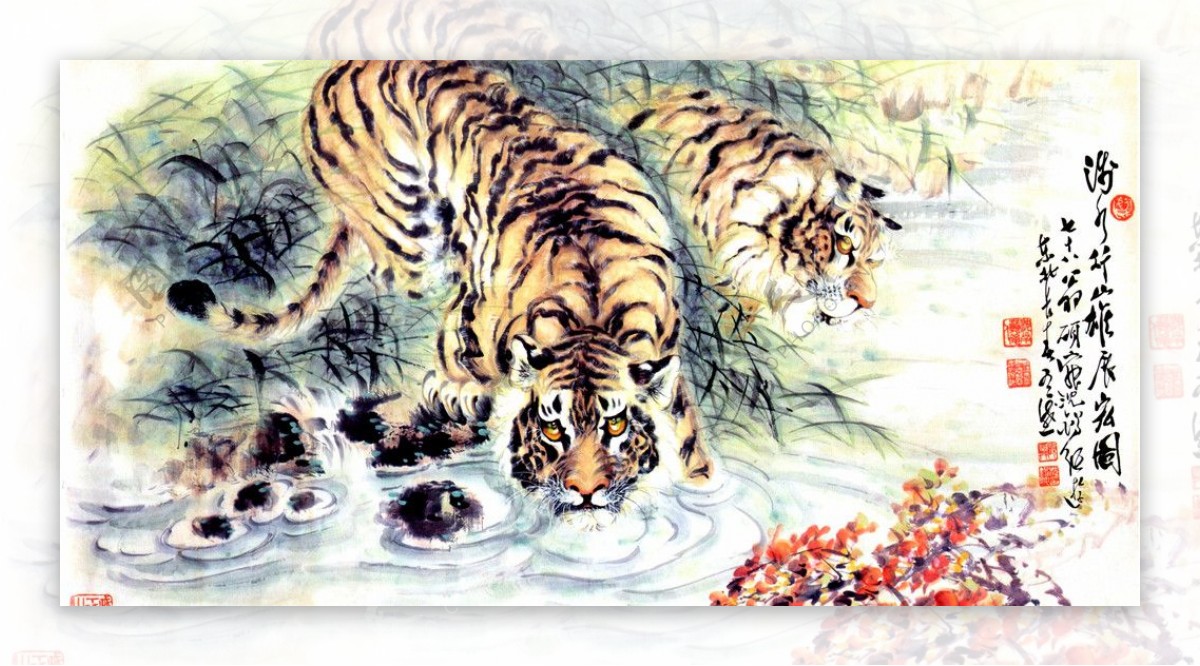 虎饮水图片