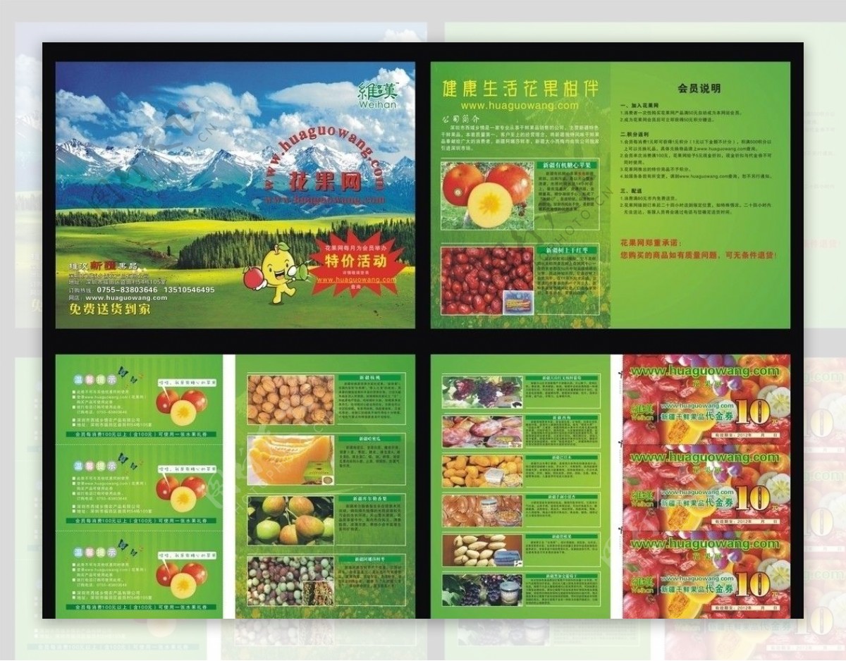 新疆干鲜果品手册图片
