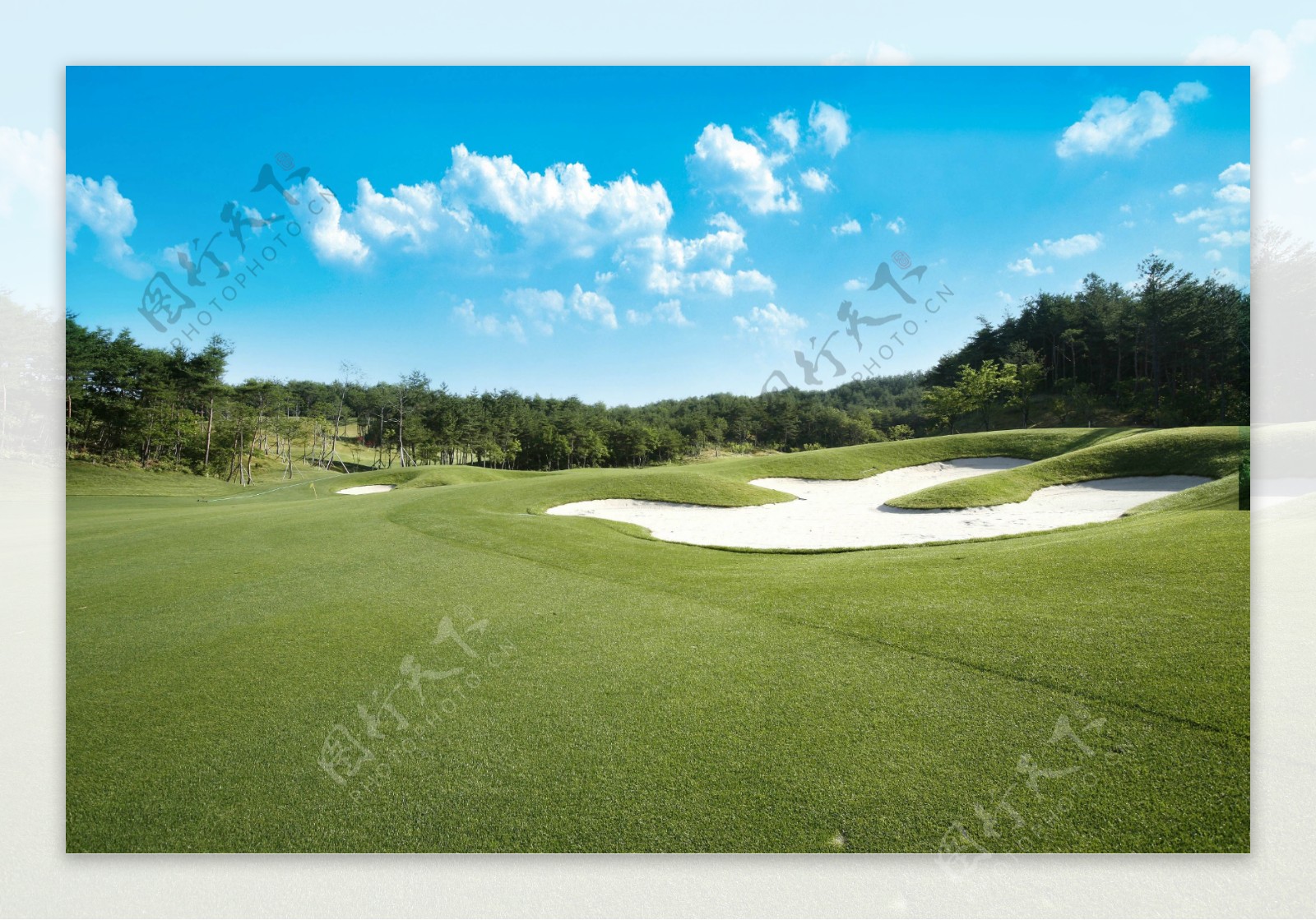 漂亮的高尔夫球场和沙坑照片摄影图片_ID:151545979-Veer图库