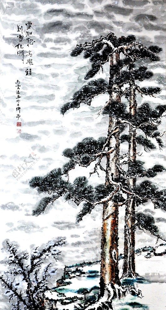 要知松高洁待到雪化时图片