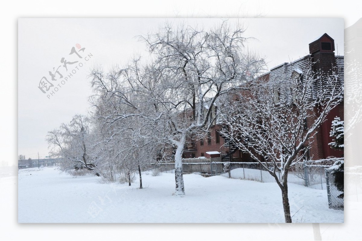 小区雪景图片