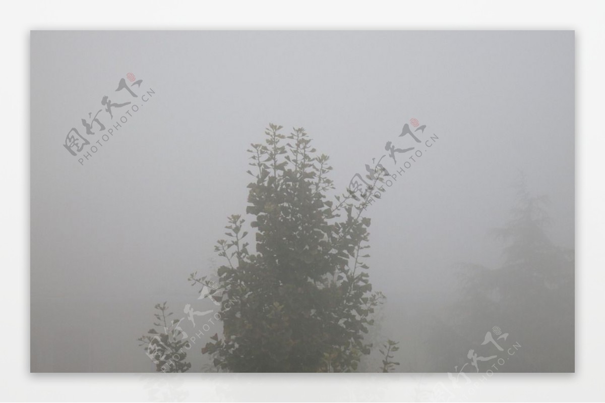 浓雾图片