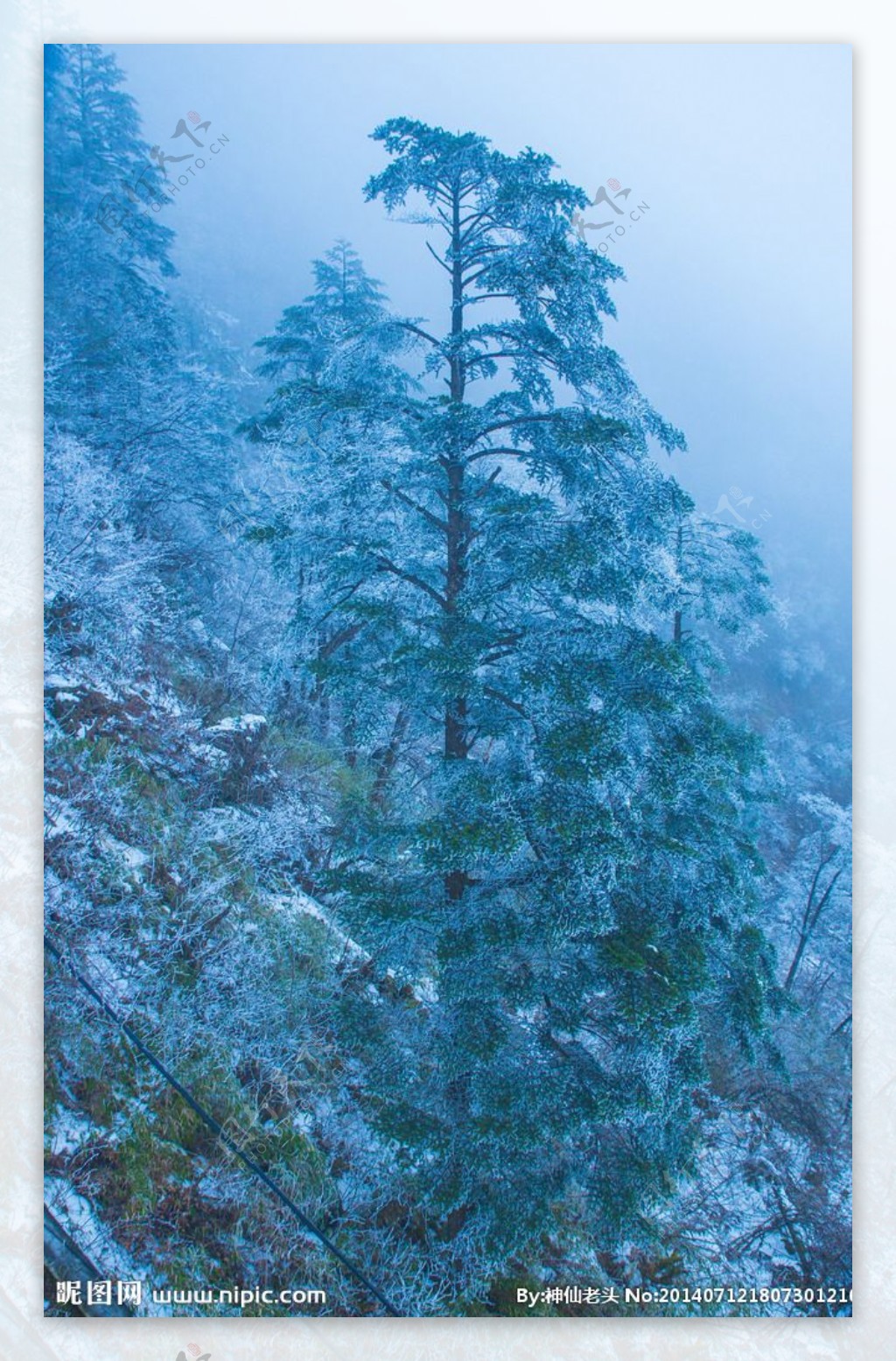 西岭雪山图片