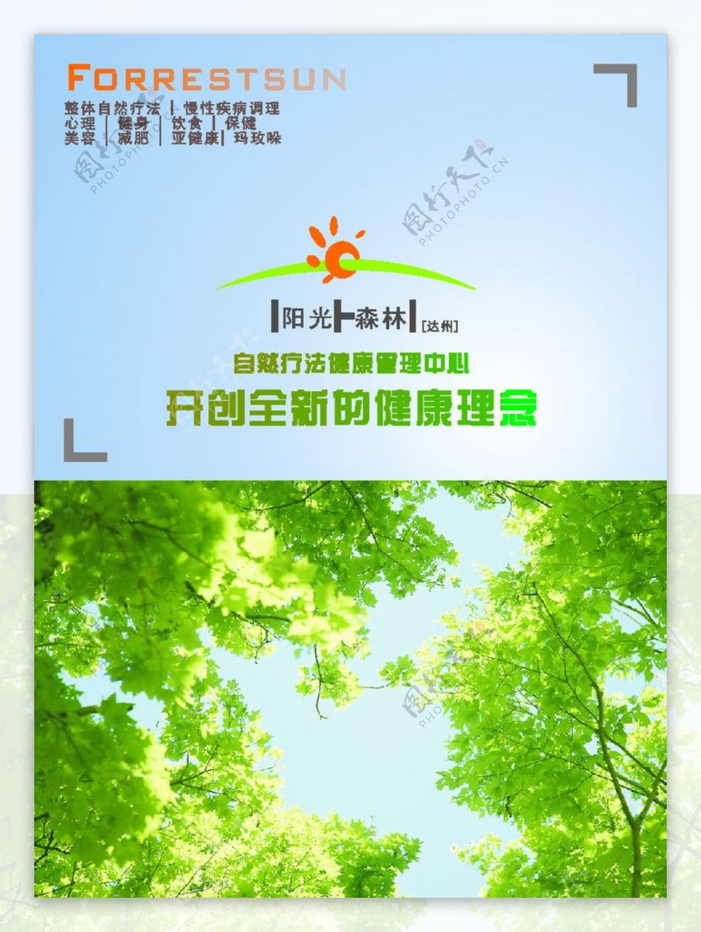 阳光森林画册封面图片