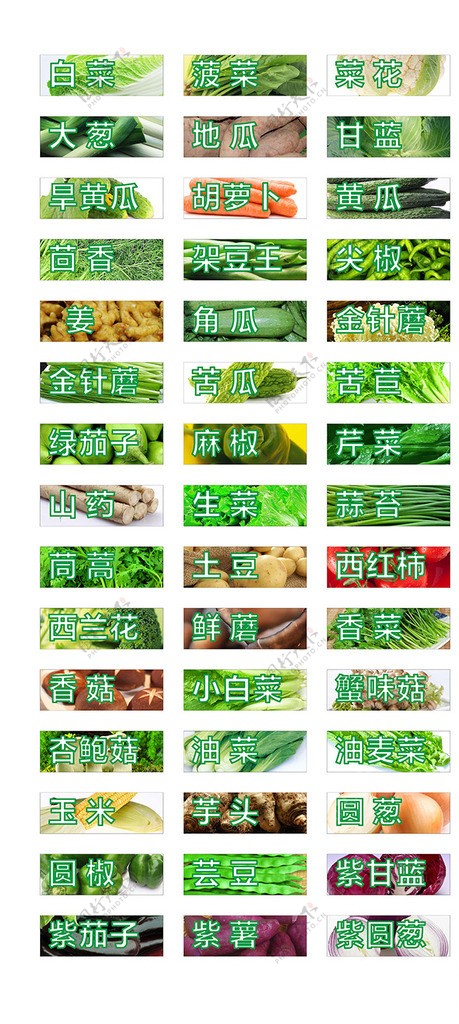 超市蔬菜标签图片