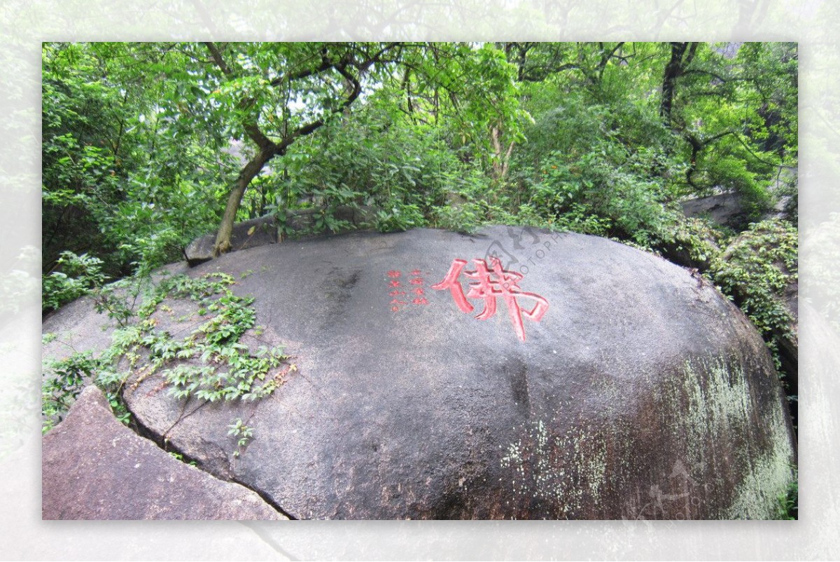 南普陀寺图片