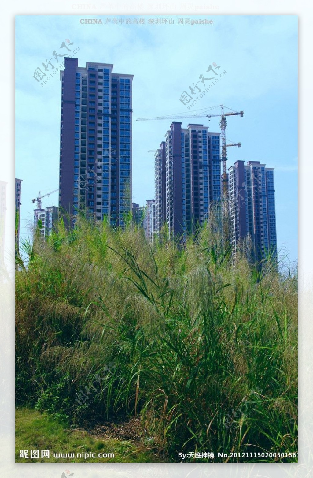 城市楼景绿色环保图片