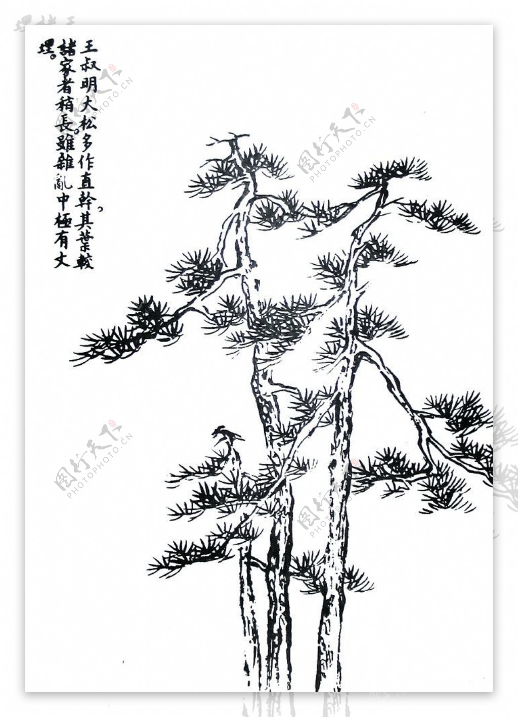 芥子园画谱图片