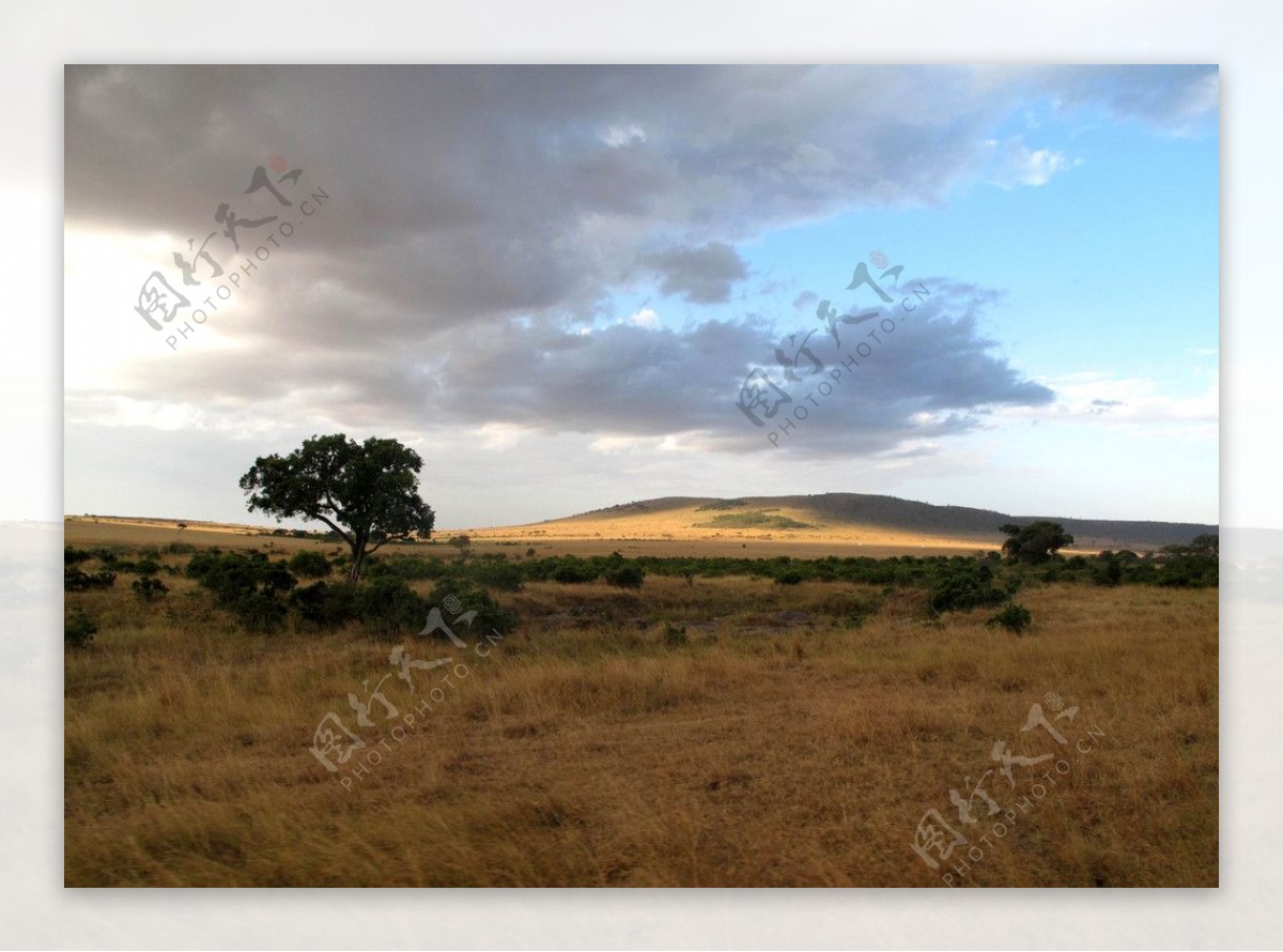 东非大草原图片