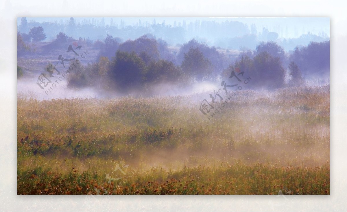 浓雾草原图片