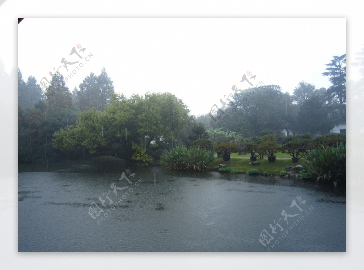 杭州花圃盆景园图片