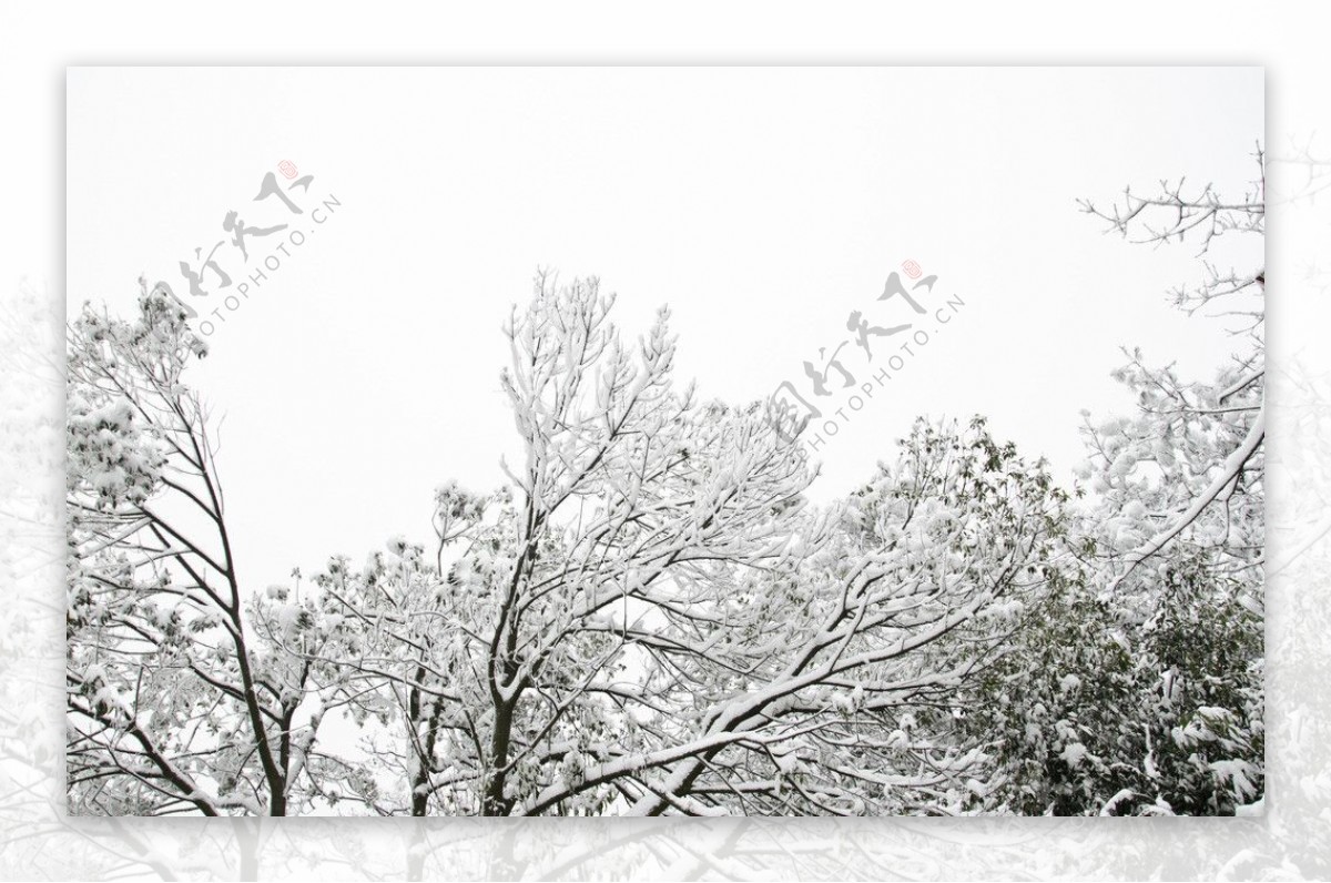 雪景图片