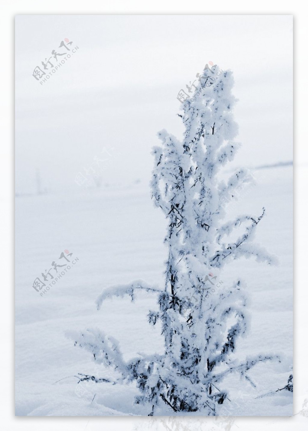 雪景图片