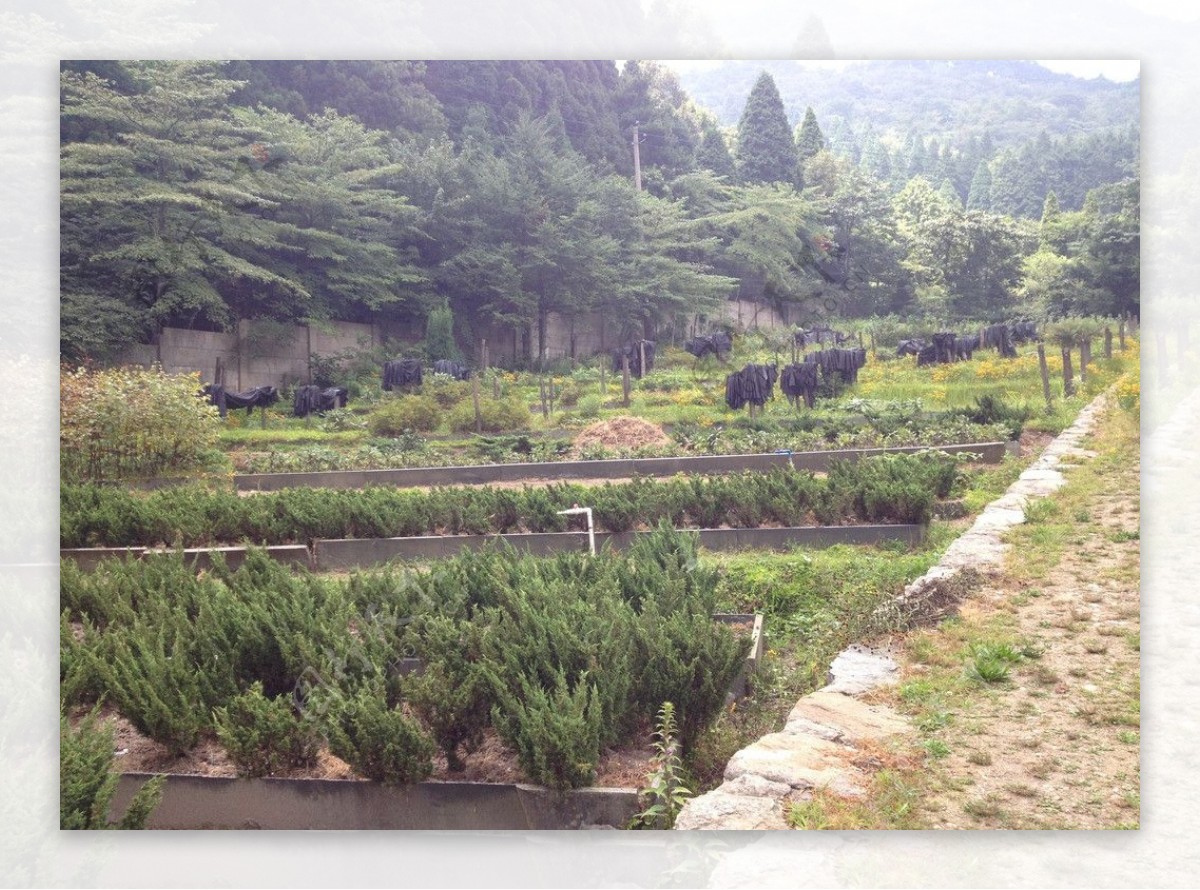 九江庐山风光风景图片