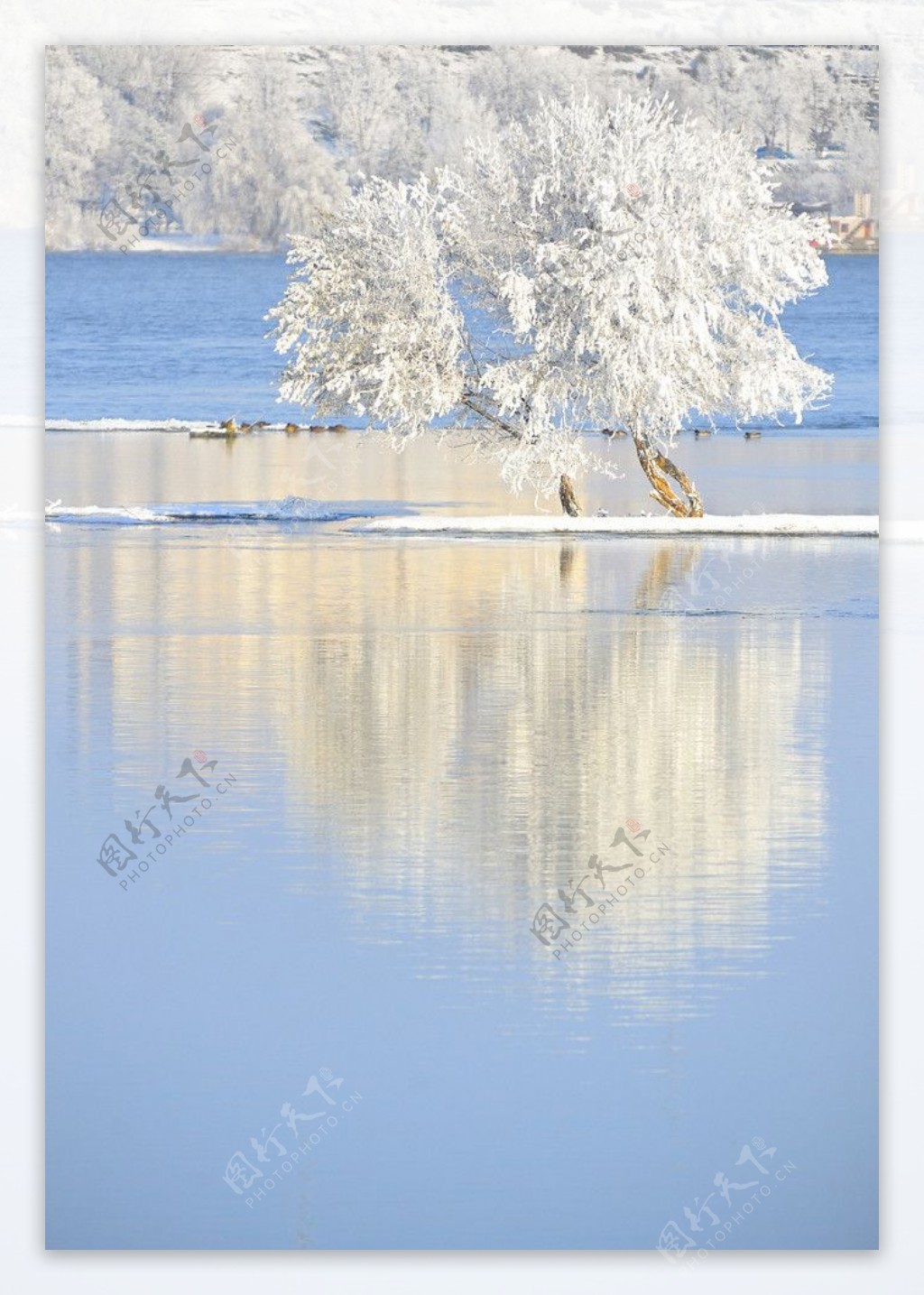 湖水冬季雪景图片