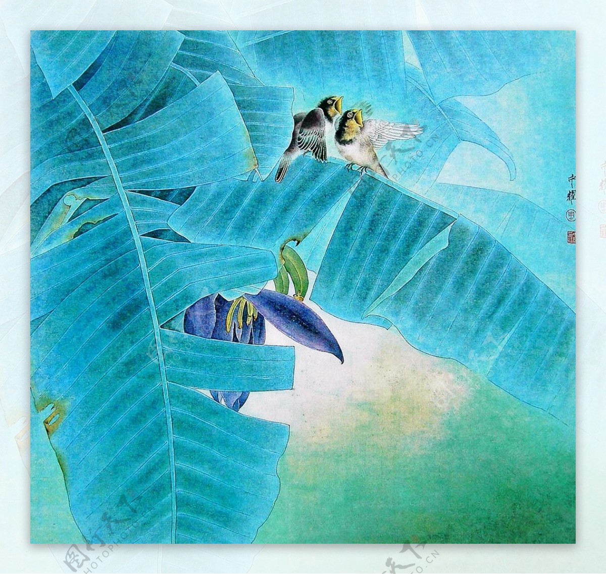 蕉林鸟鸣图片