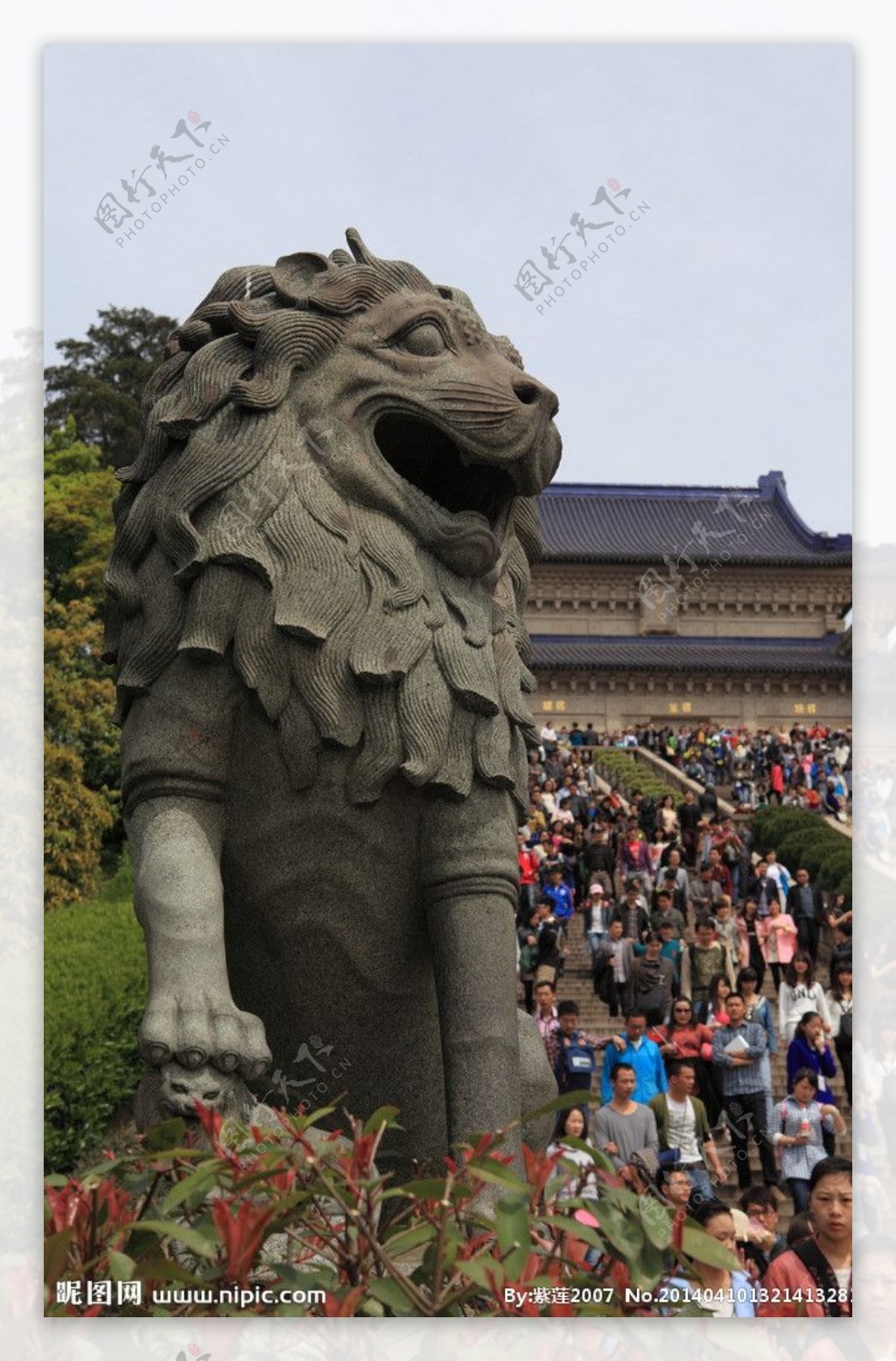 中山陵石狮图片