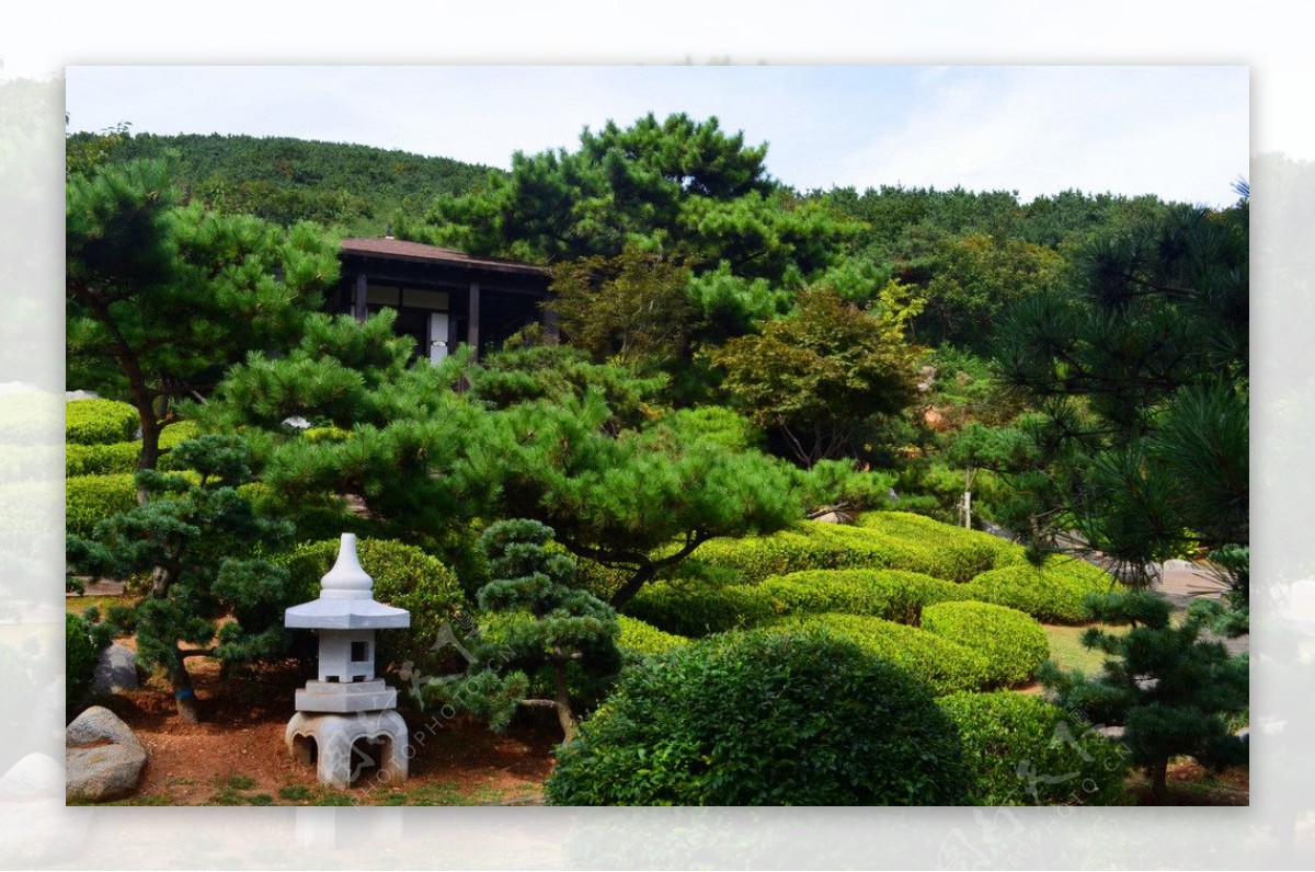日式庭院远景图片