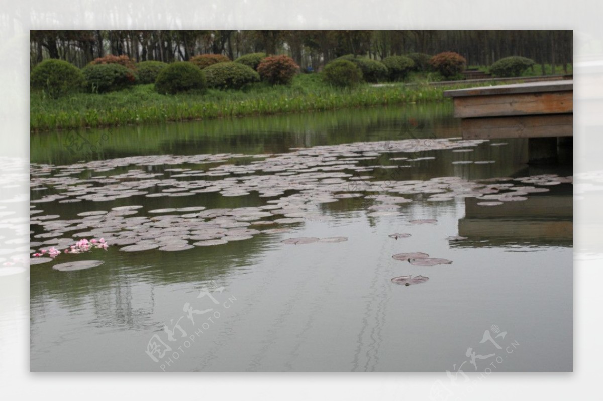 昆山森林公园风景图片