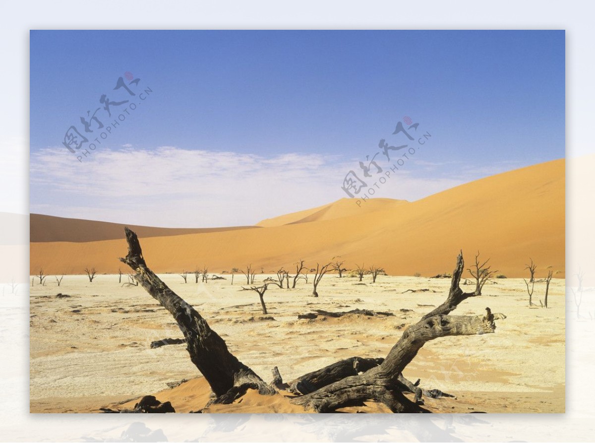 沙漠荒漠图片