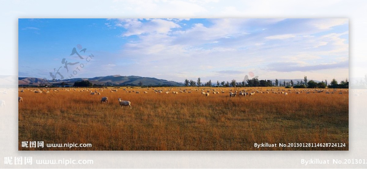 全景草原牧羊风光图片