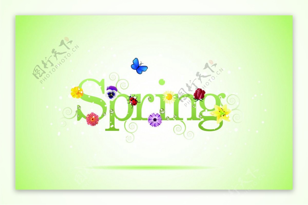 SPRING春天图片