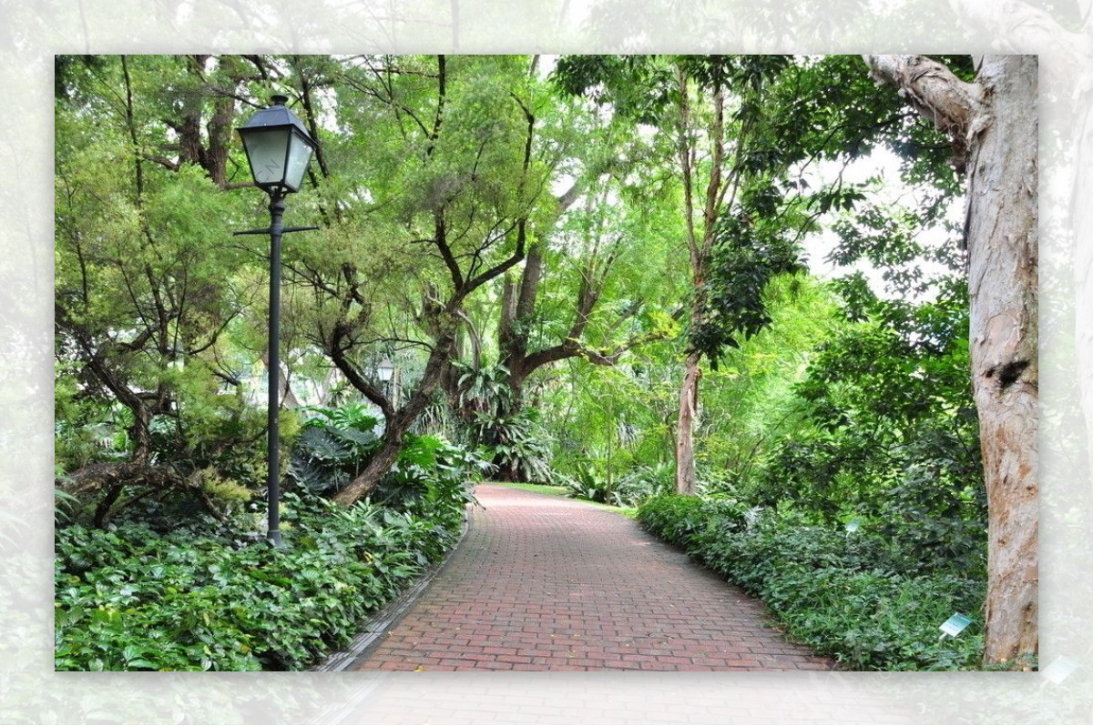 新加坡公园图片