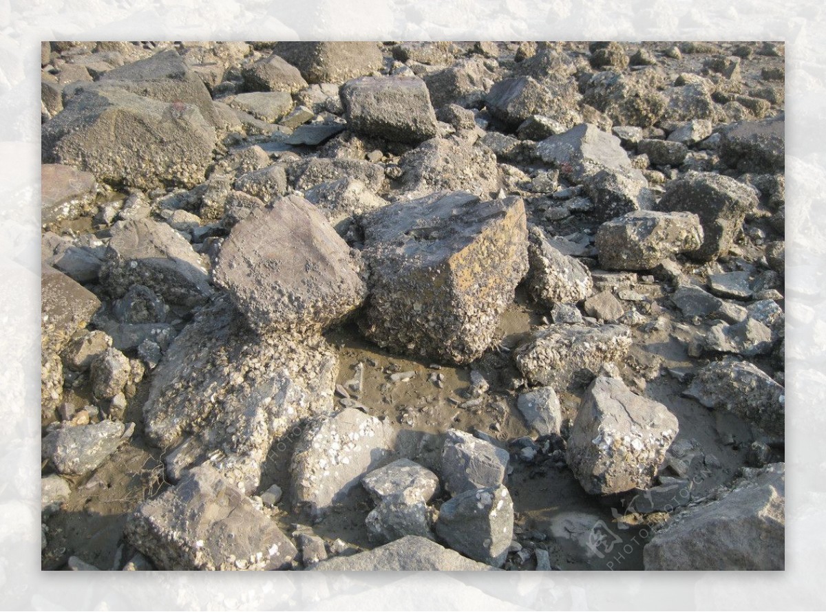 海上石头图片