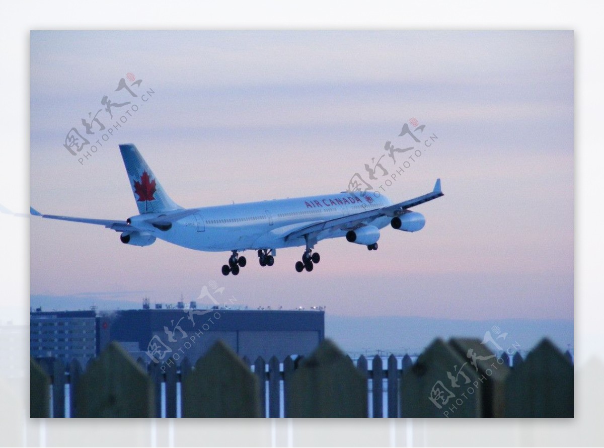 加拿大航空A340图片