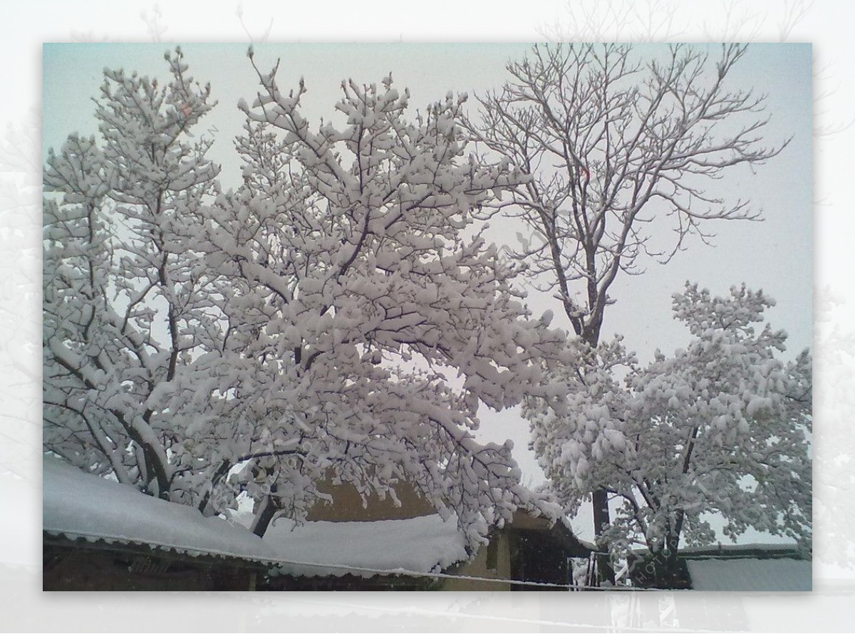 雪景图片