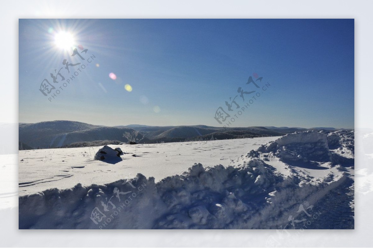 阳光雪原图片