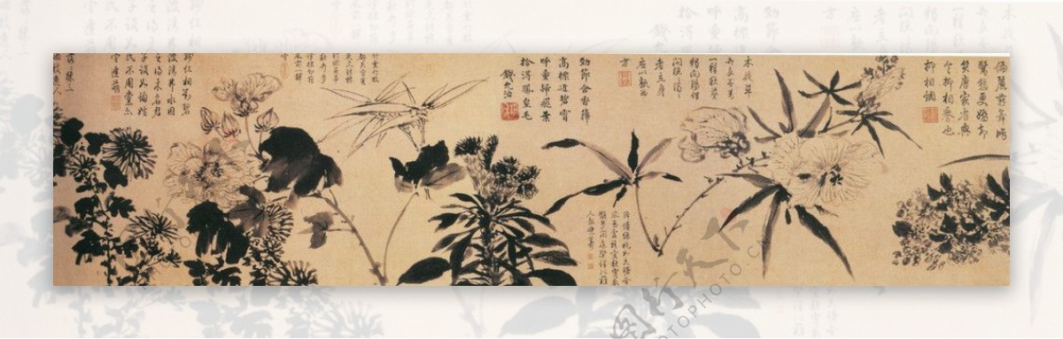 绘画花草图片