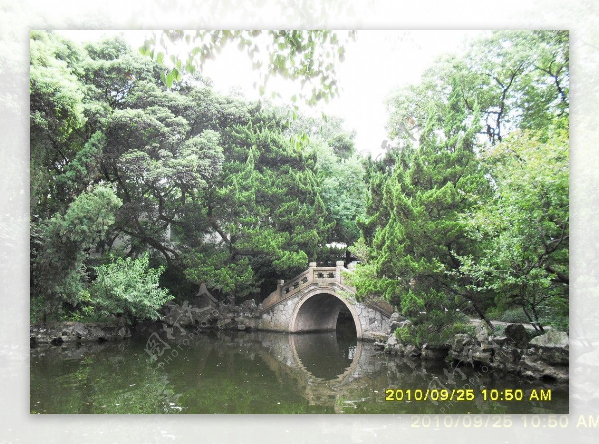 林间小桥图片