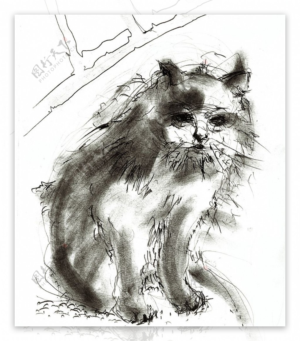 手绘线条小猫图片