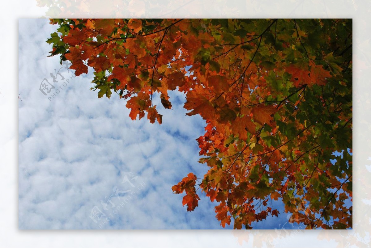 秋季风光图片