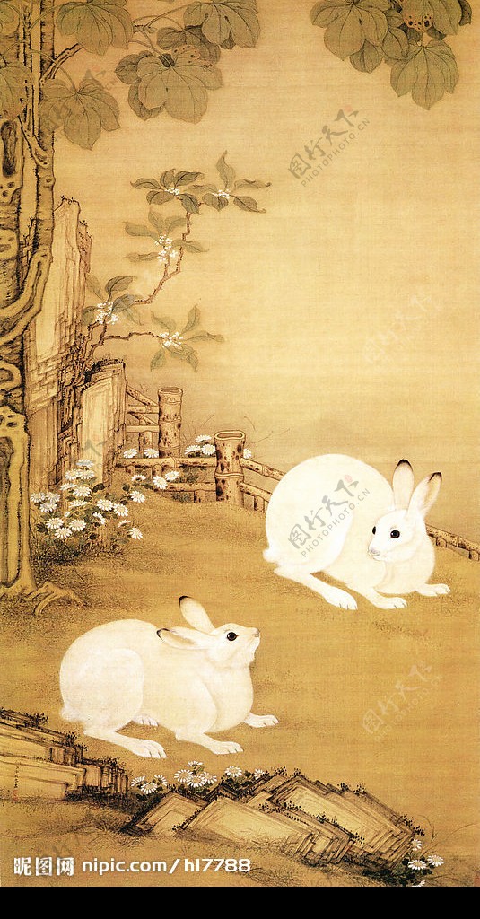 白兔嬉戏图片