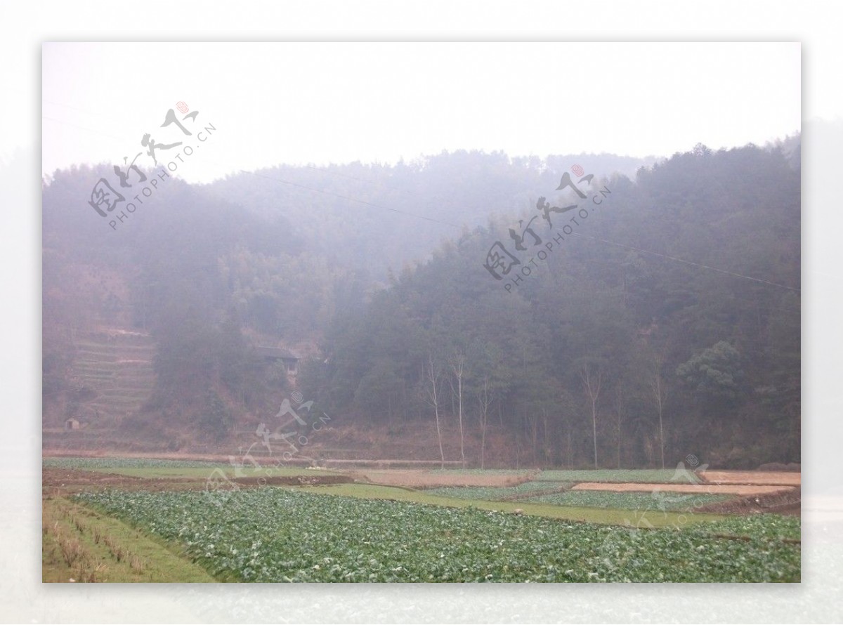 农村田园风景图片