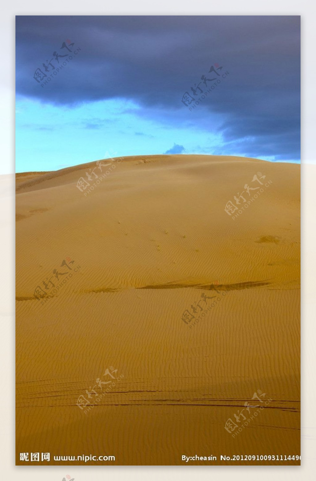 金色的沙丘图片