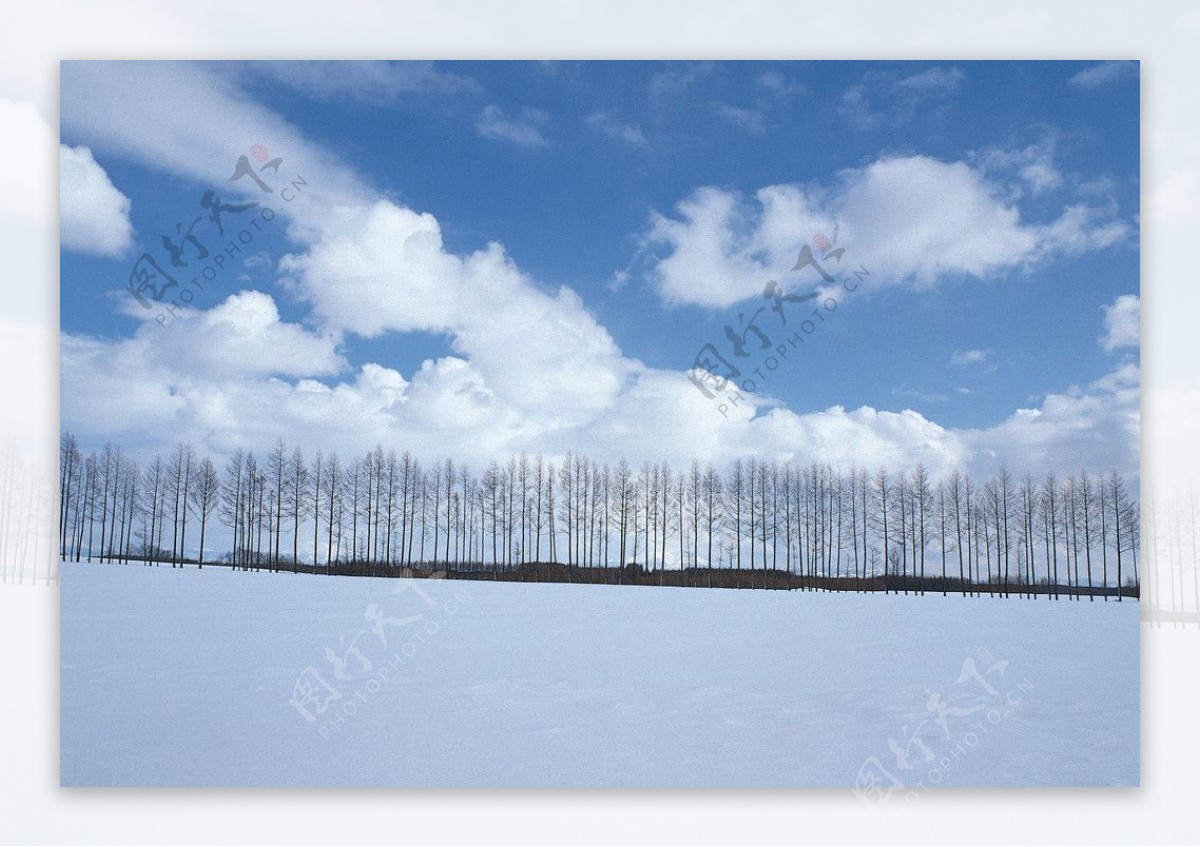 东北雪景图片