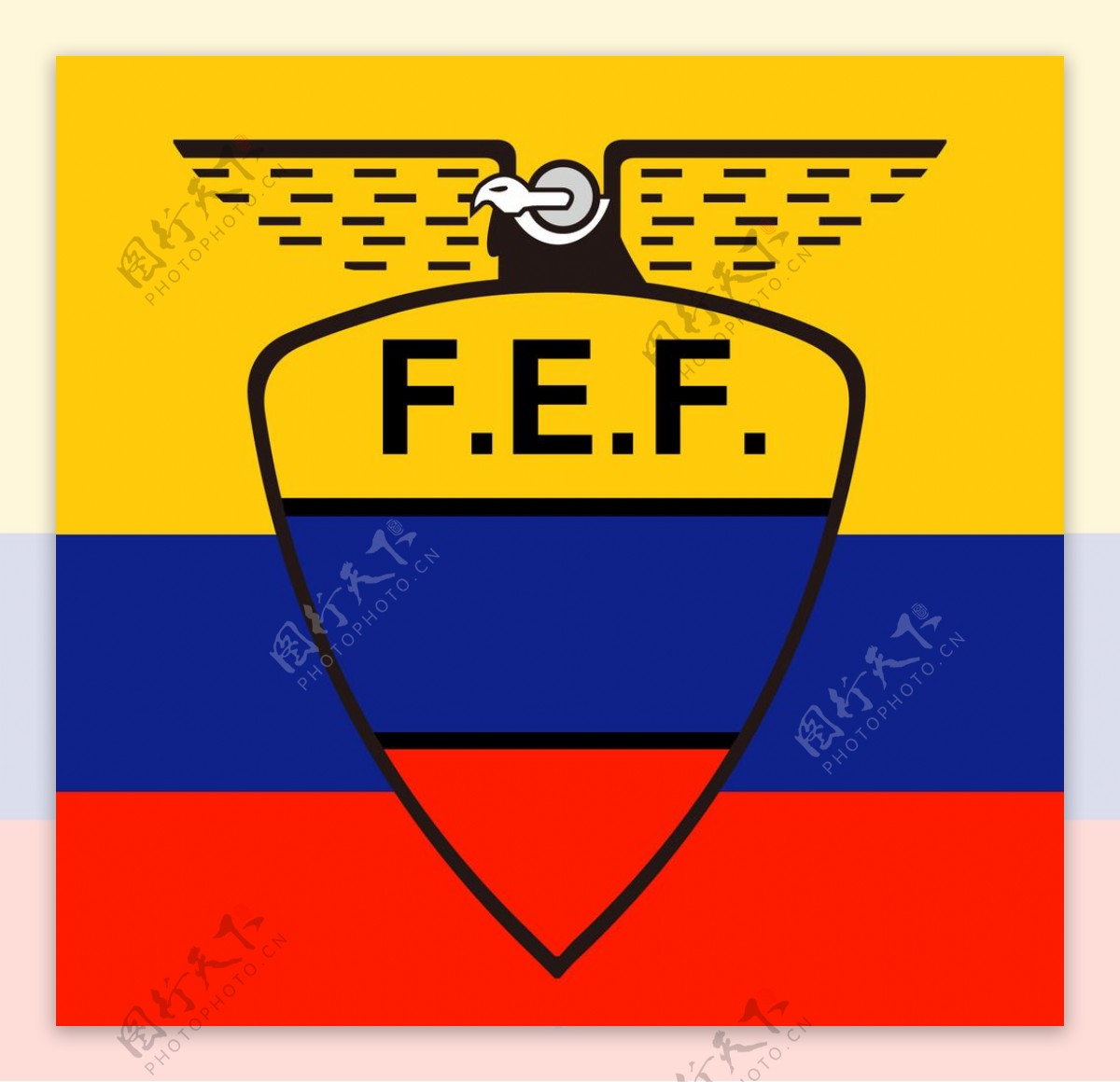 厄瓜多尔队标志图片