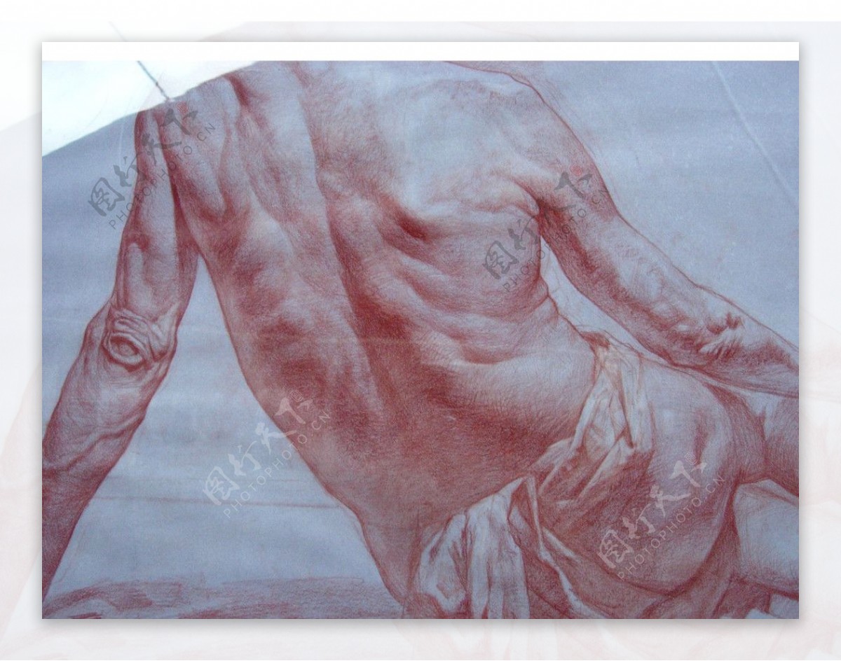 俄罗斯美术素描男人体背面图片