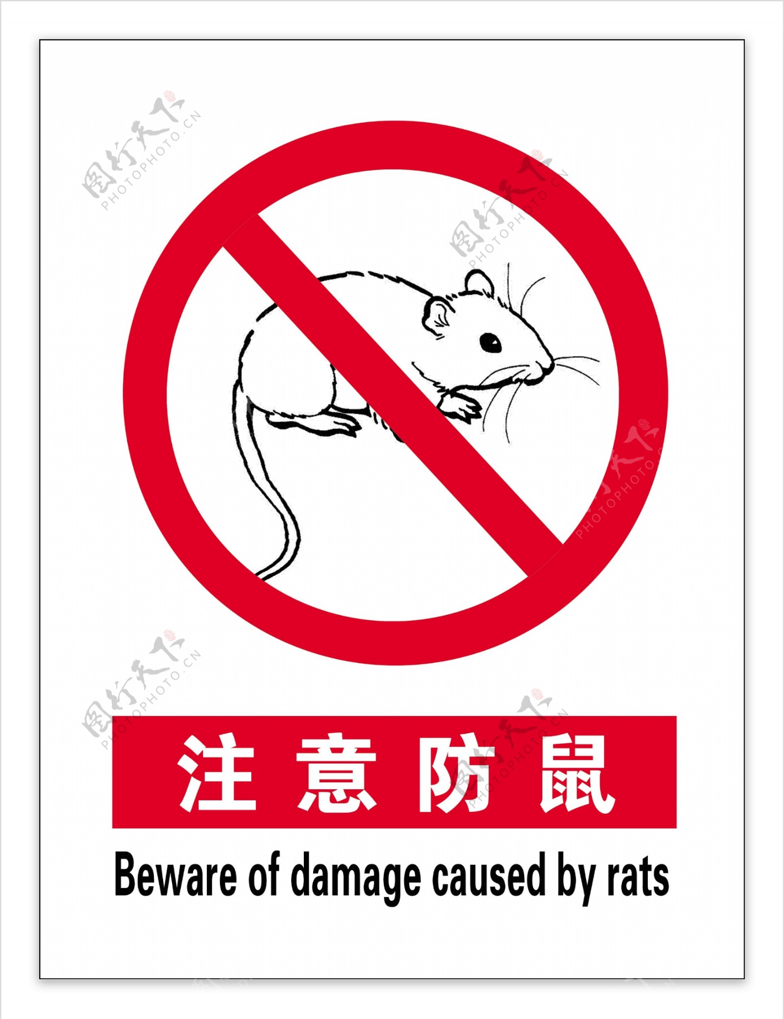 注意防鼠图片