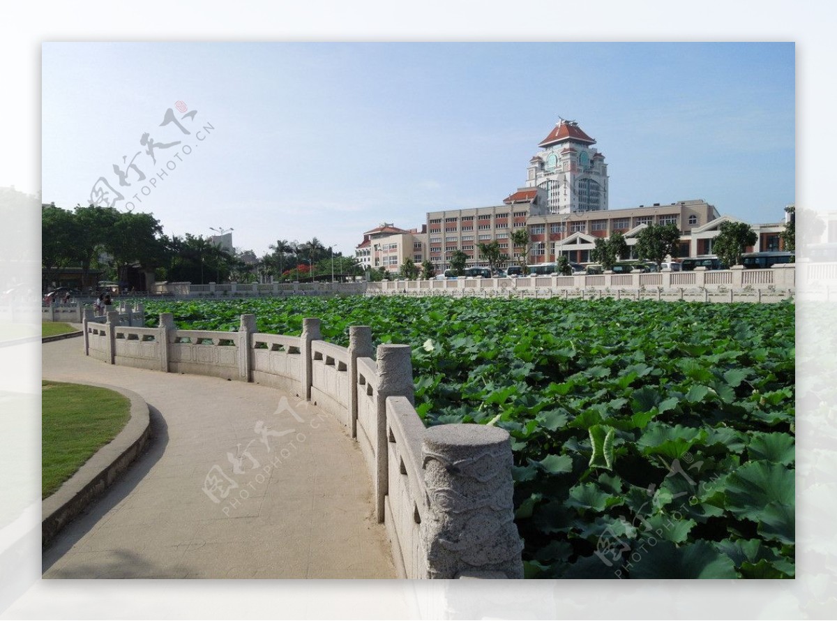 厦门风景图片