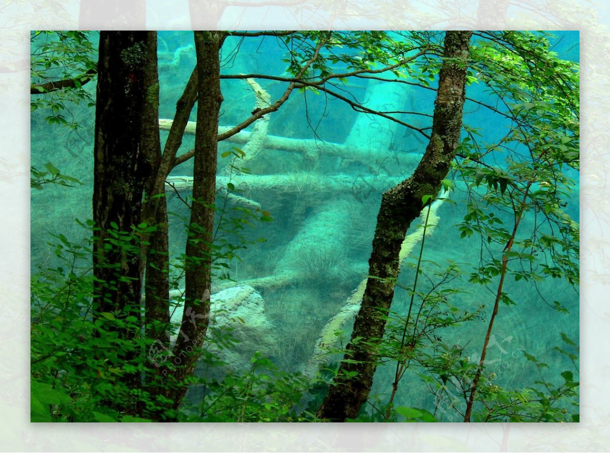 树林湖泊图片