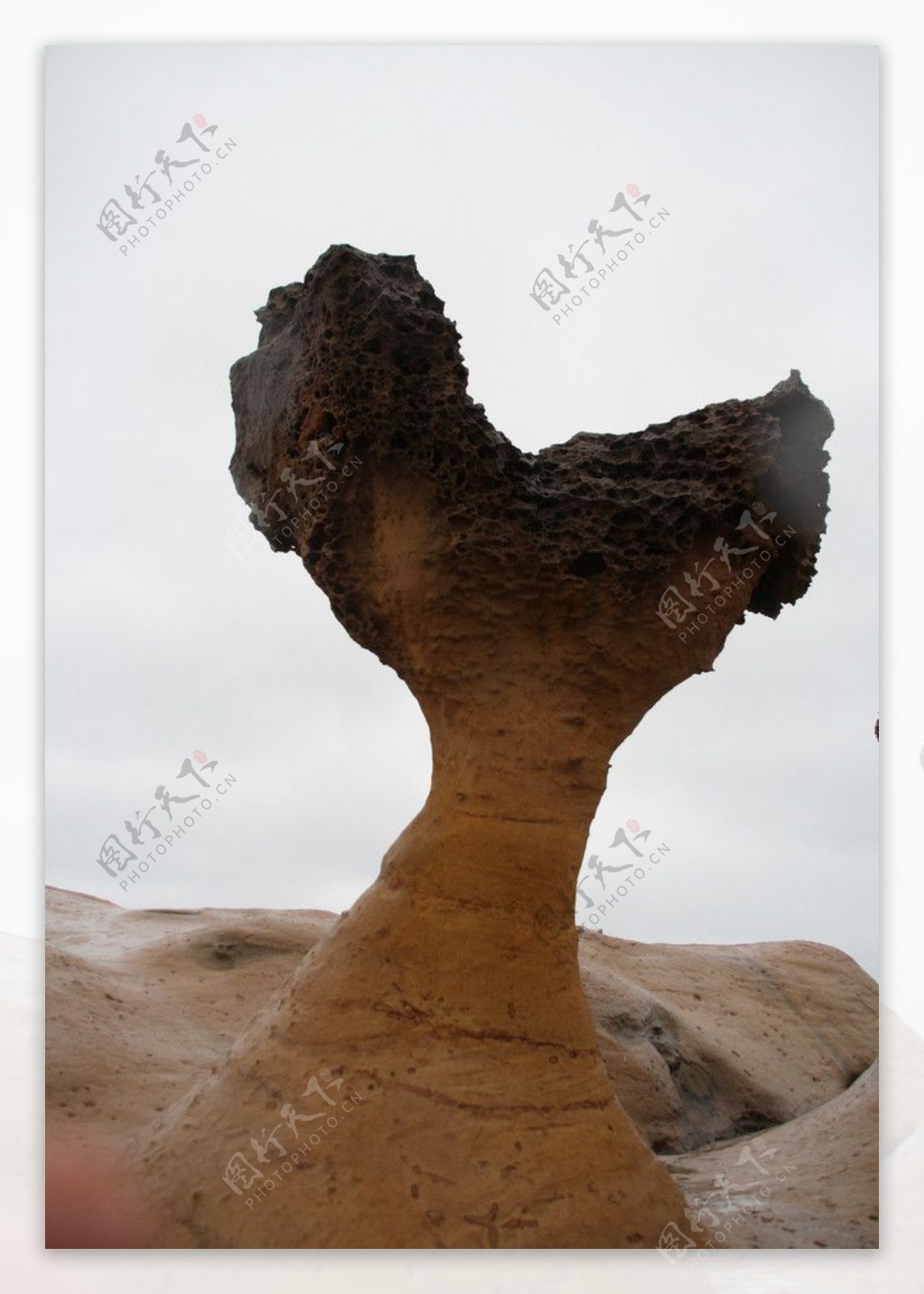 台湾野柳女王石岩礁图片