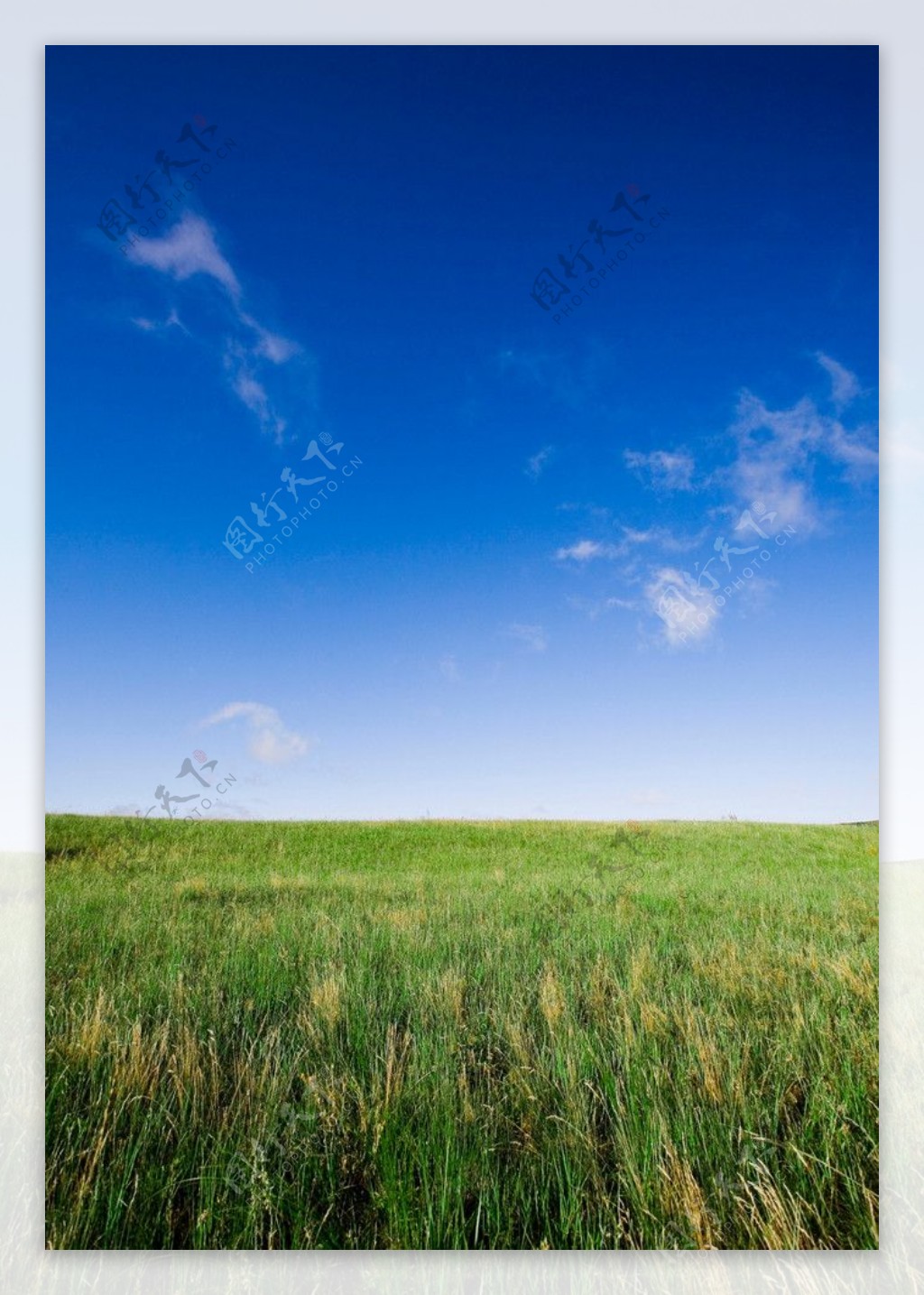乌兰布统草原图片